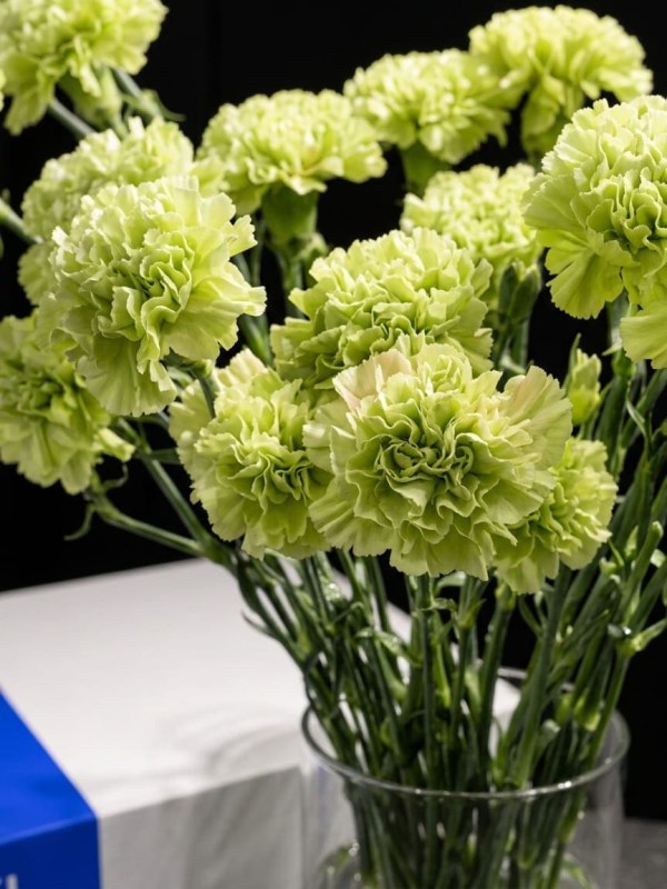 Bunch din 20 de garoafe verzi