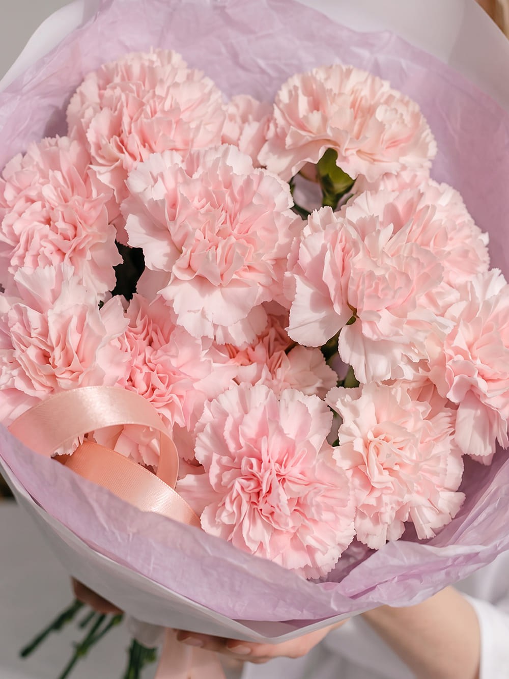 Buchet de 15 dianthus în tonuri de roz