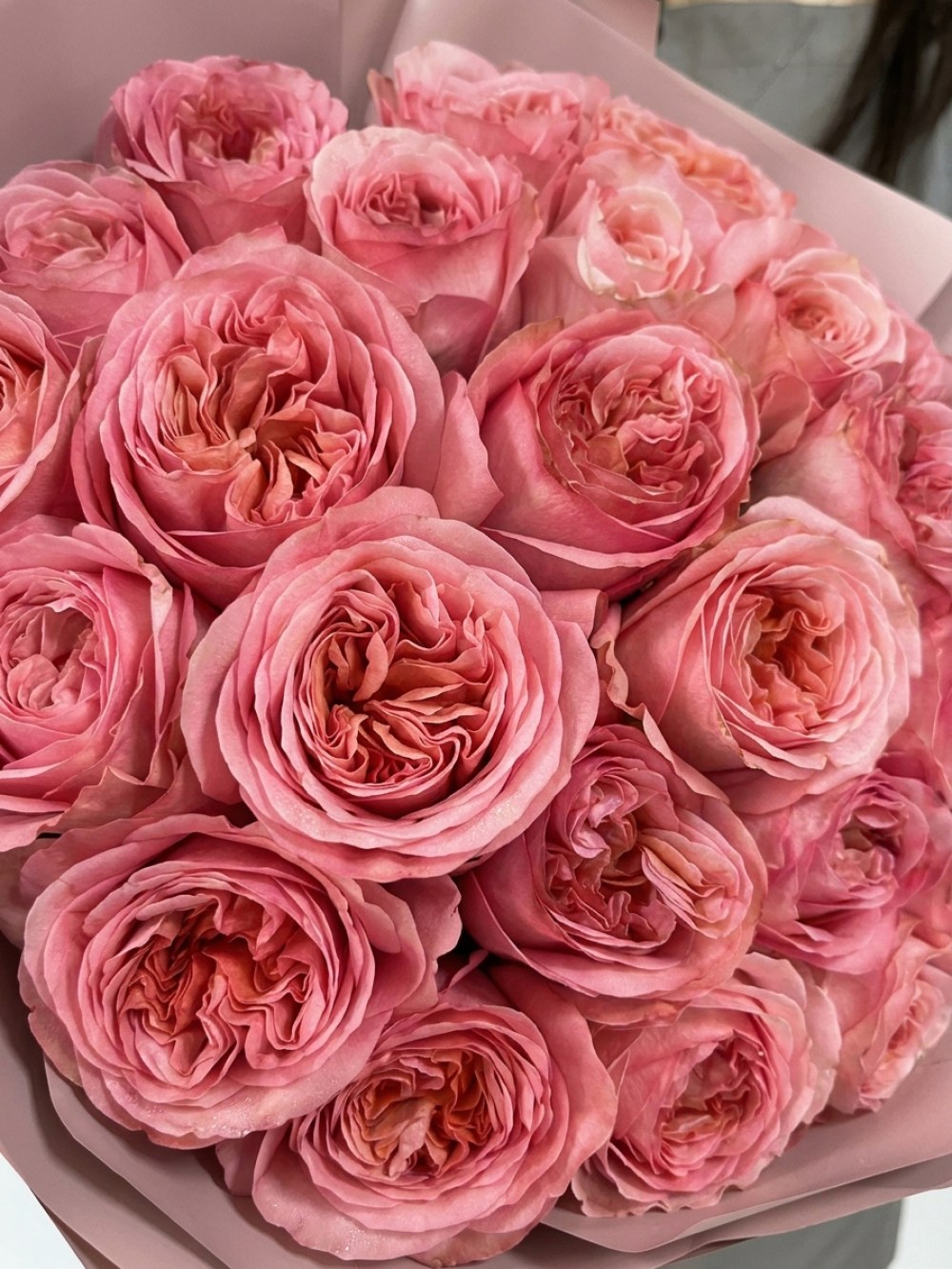 Bouquet of 25 Pink Expression garden roses in pink wrapping