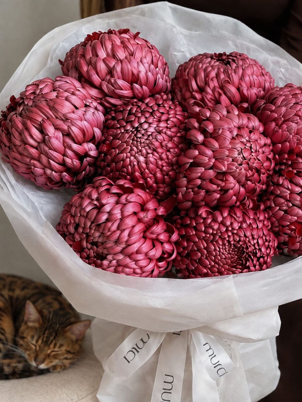 Buchet din 9 crizanteme bordo