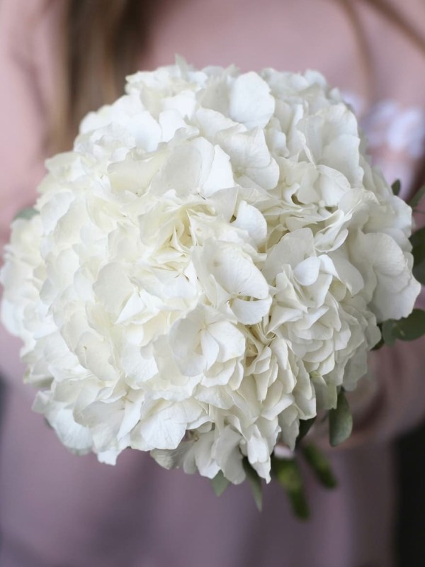 Buchet de mireasă alb de hortensie și eucalipt
