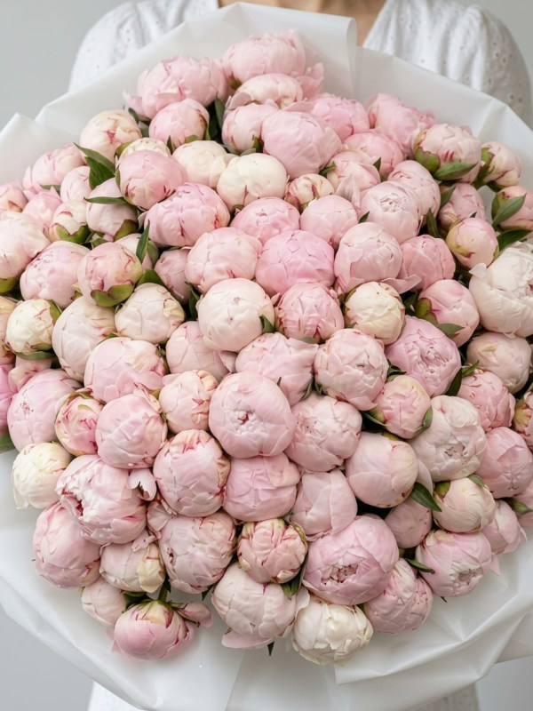 Buchet mare de 101 bujori roz