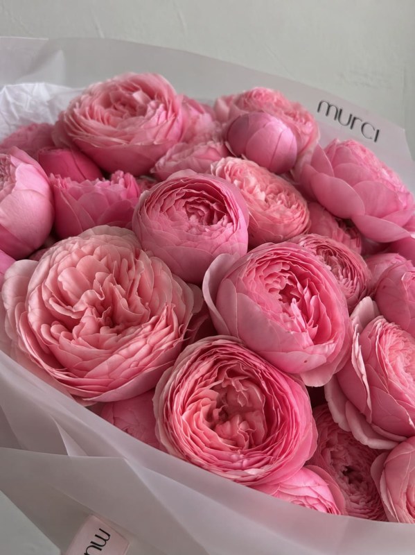Buchet din 9 ramuri de trandafiri Silva Pink