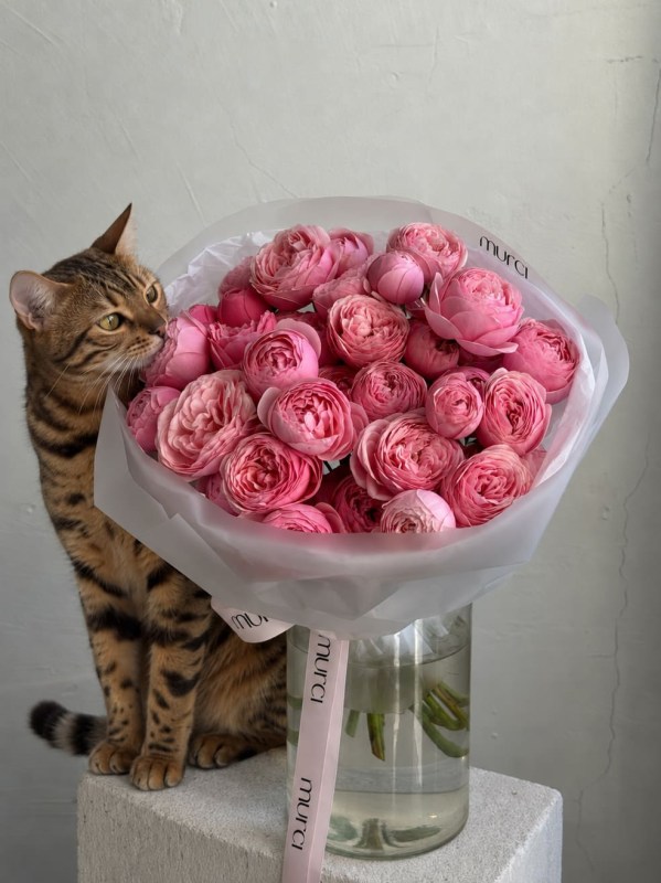 Buchet din 9 ramuri de trandafiri Silva Pink