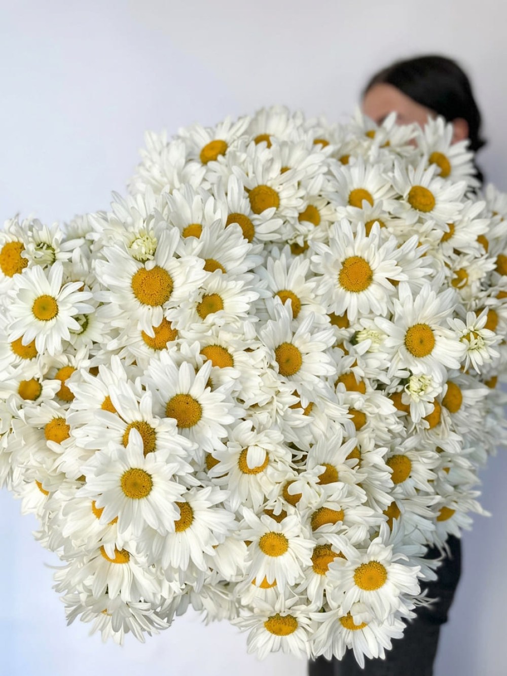 Buchet de 101 margarete de grădină legat cu panglică