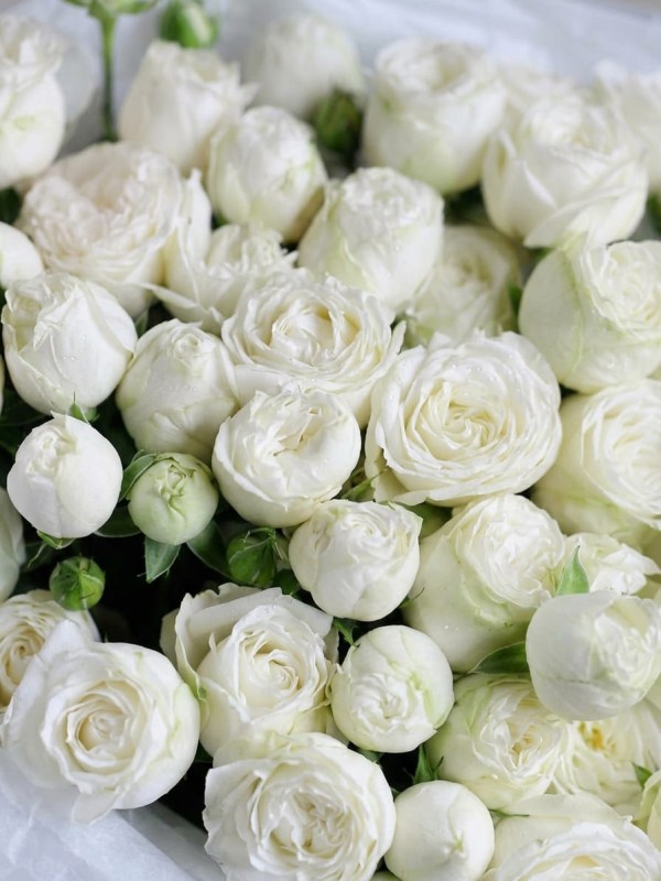 Buchet de 11 trandafiri albi spray