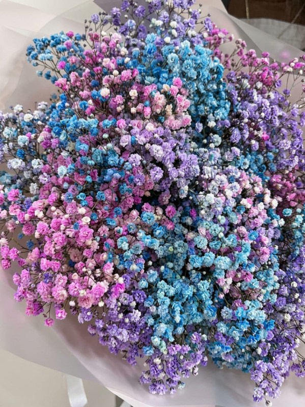 Buchet din 11 ramuri de amestec de gypsophila colorat în ambalaj deschis