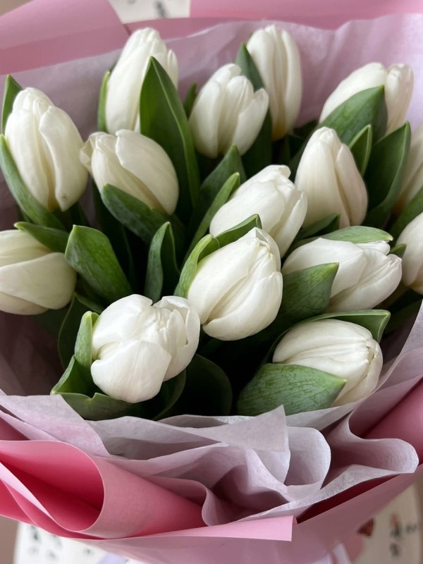 Buchet de 15 lalele albe în ambalaj roz