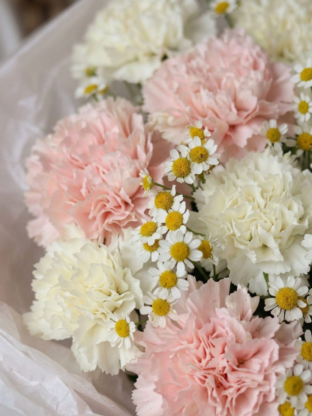 Buchet de 15 dianthus roz și alb cu tanacetum