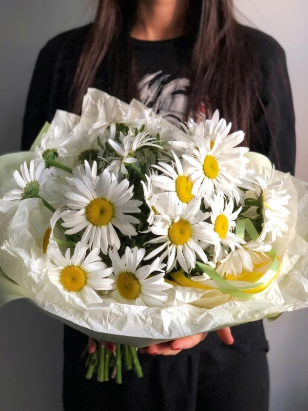Buchet de 15 margarete de gradina în ambalaj deschis