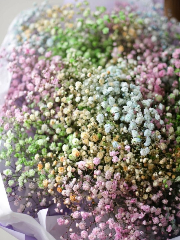Buchet din 17 ramuri de gypsophila curcubeu
