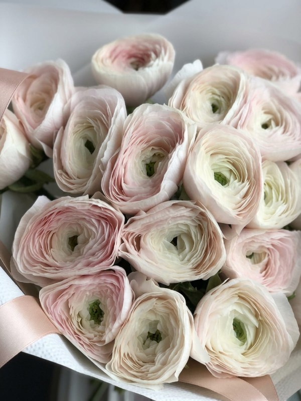 Buchet de 19 ranunculi crem