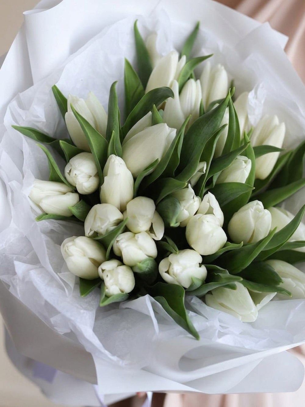 Bouquet of 25 white tulips in powder packaging