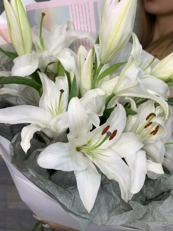 Buchet de 3 crini albi în ambalaj de designer
