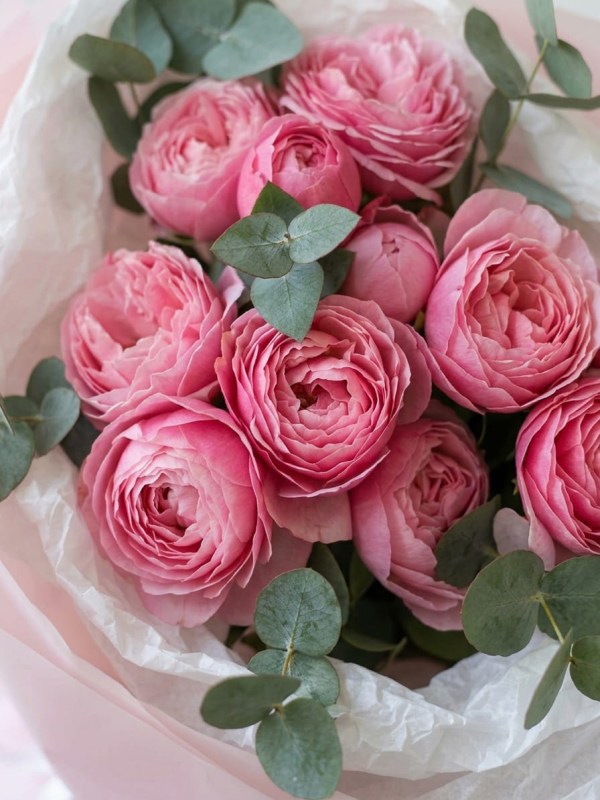 Buchet de 3 trandafiri spray Silva Pink