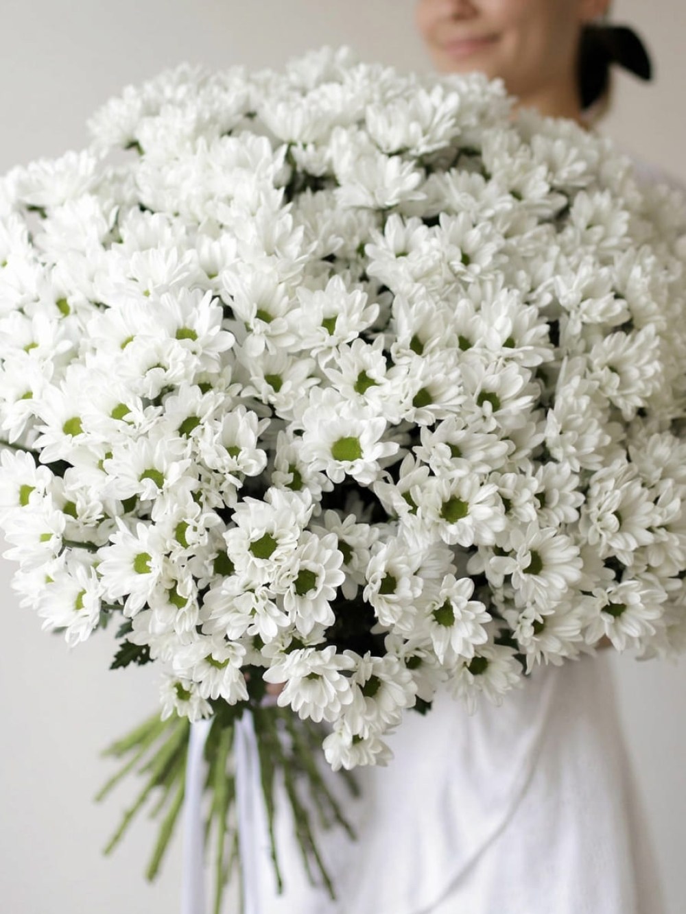 Bouquet of 35 white chamomile chrysanthemums tied with ribbon
