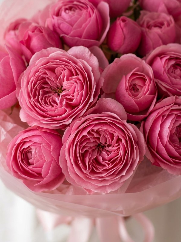 Buchet de 5 trandafiri roz spray Silva Pink