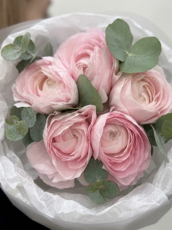 Buchet de 5 ranunculus roz cu eucalipt