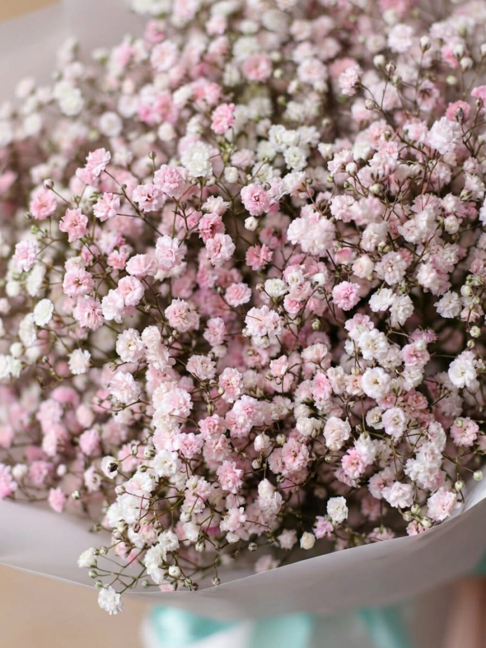 Buchet din 5 ramuri de gypsophila roz si alb în ambalaj deschis