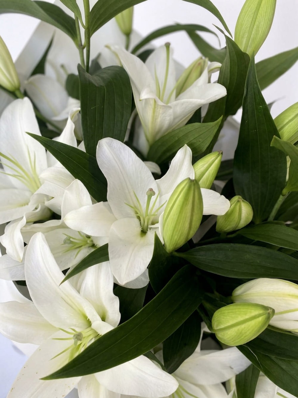 Buchet de 7 crini albi într-un pachet alb