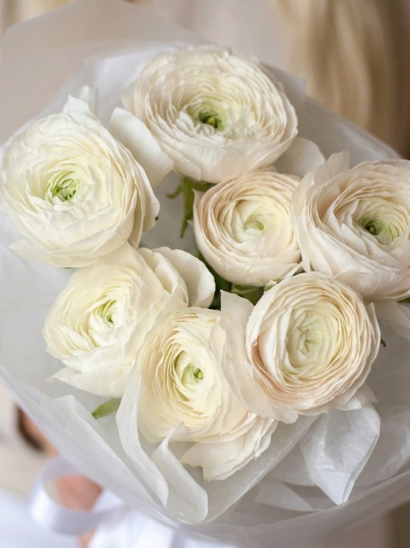 Buchet de 7 ranuncule albe
