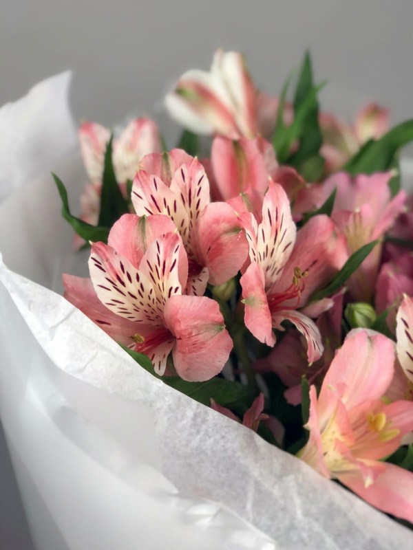 Buchet de 7 alstroemerias roșu-roz