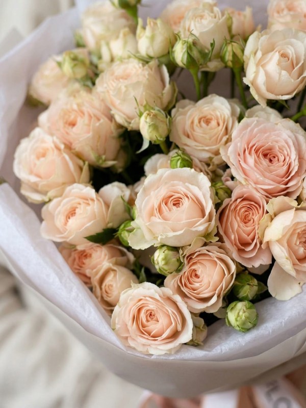 Buchet de 7 trandafiri spray roz moale Peach Dimation