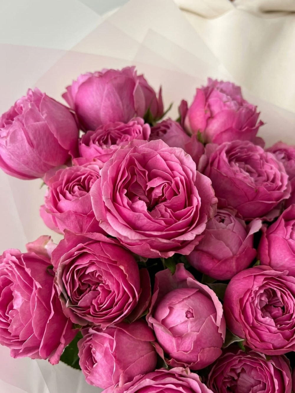 Buchet de 7 trandafiri roz spray Lady Bombastic