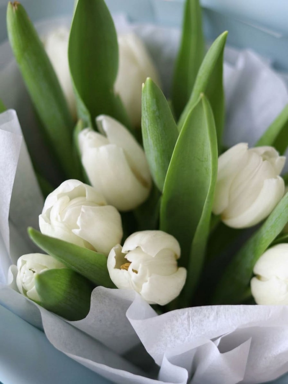 Buchet de 9 lalele albe