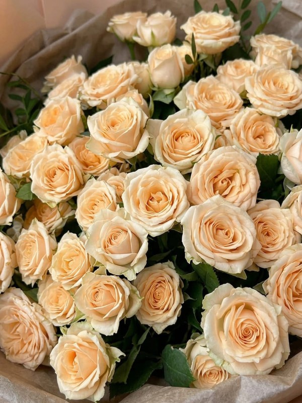 Buchet de 9 trandafiri spray crem cu verdeata