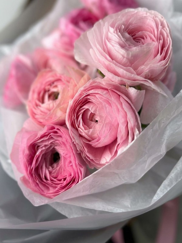 Buchet de 9 ranunculus roz