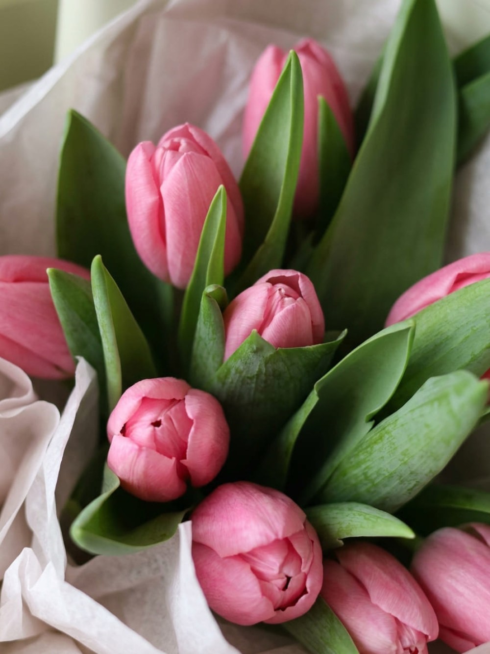 Bouquet of 9 pink tulips