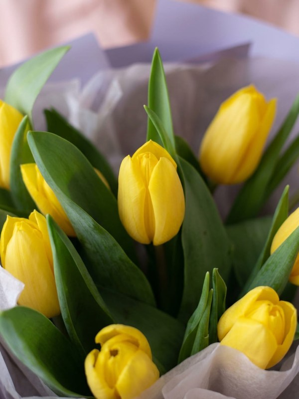 Buchet de 9 lalele galbene