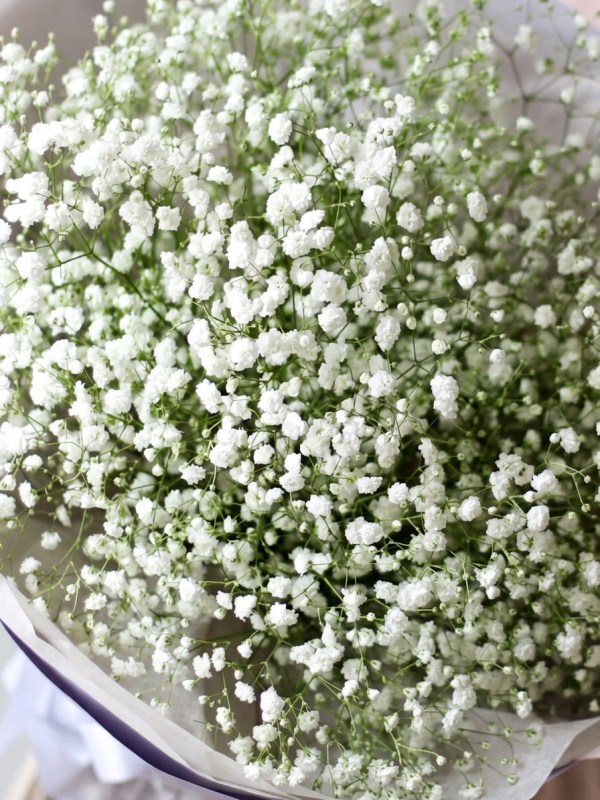 Buchet de gypsophila albă din 9 ramuri