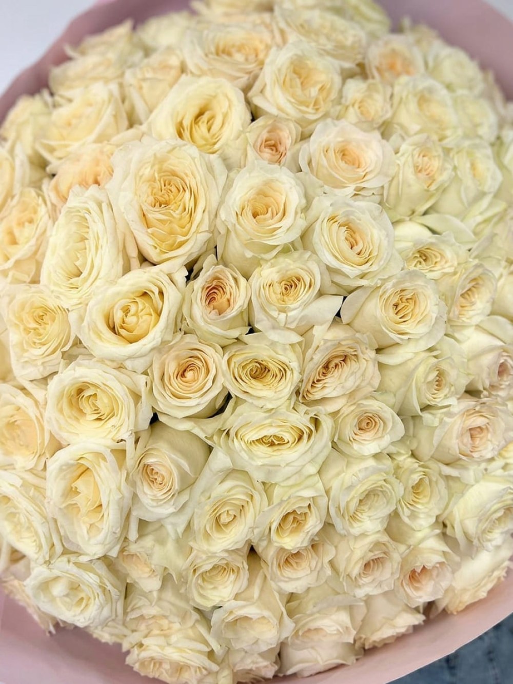 Buchet de 101 trandafiri premium bujor