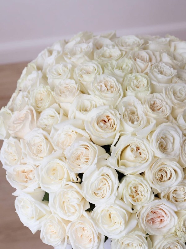 Buchet de 101 trandafiri tip bujor White O'Hara legat cu panglică