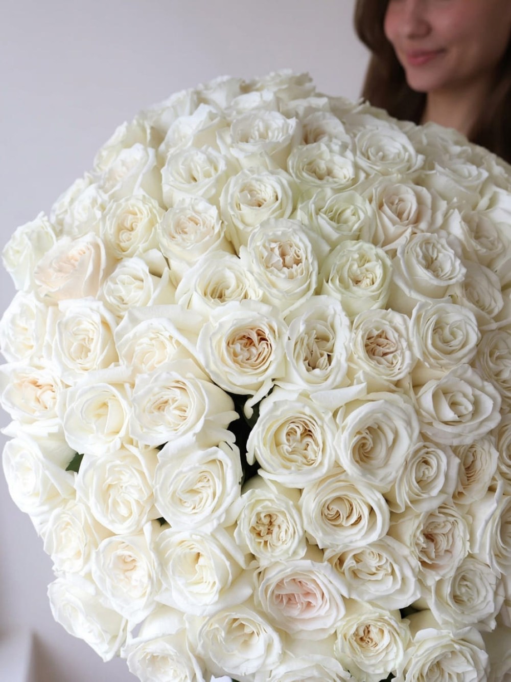 Bouquet of 101 garden roses White O'Hara tied with ribbon