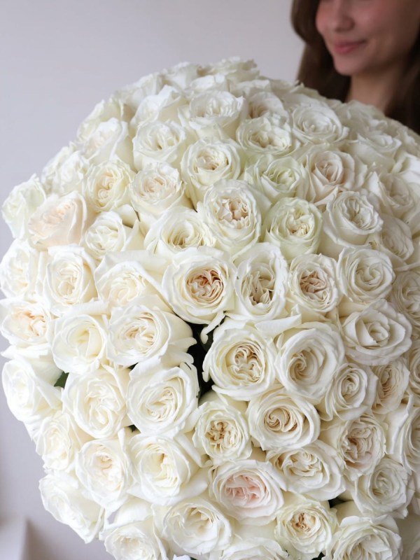 Bouquet of 101 garden roses White O'Hara tied with ribbon