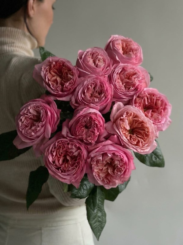 Buchet de 11 trandafiri tip bujor Pink Expression