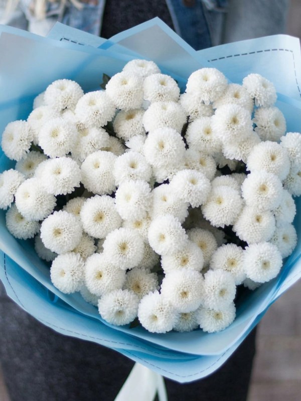 Buchet din 11 ramuri de nucă de cocos crizantemă spray alb
