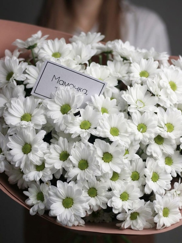 Buchet de 11 crizanteme de mușețel in foamiran