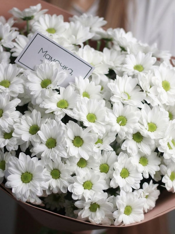 Buchet de 11 crizanteme de mușețel in foamiran