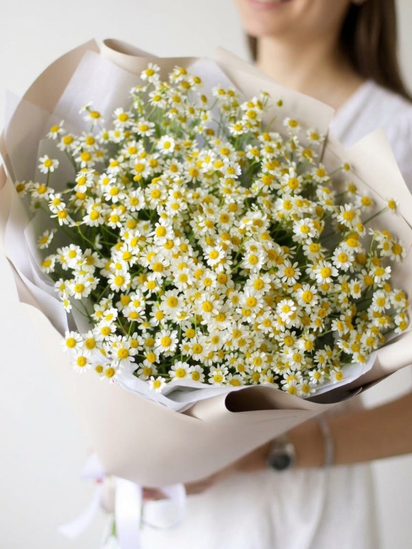 Buchet din 11 ramuri de tanacetum în design bej