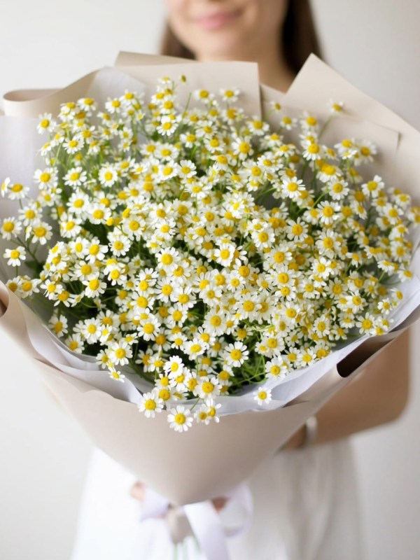 Buchet din 11 ramuri de tanacetum în design bej