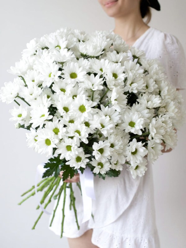 Bouquet of 15 white chamomile chrysanthemums tied with ribbon