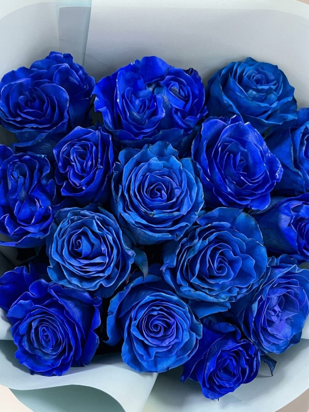 Buchet de 15 trandafiri albastri Mondial Blue