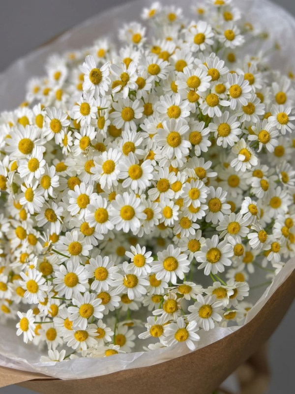 Buchet de 15 tanacetum în decor artizanal