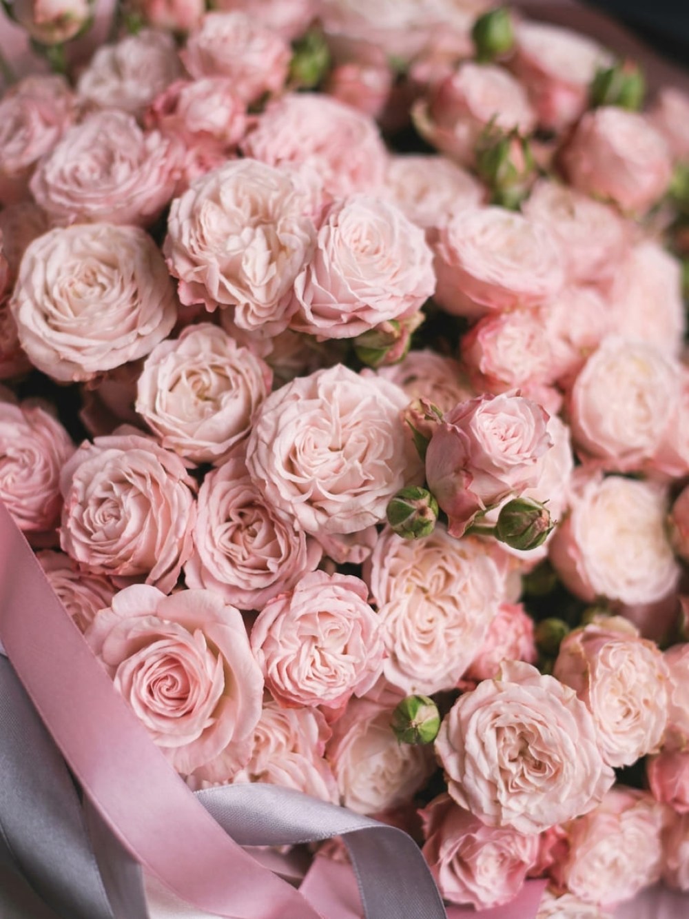 Buchet din 17 ramuri de trandafir Lady Bombastic