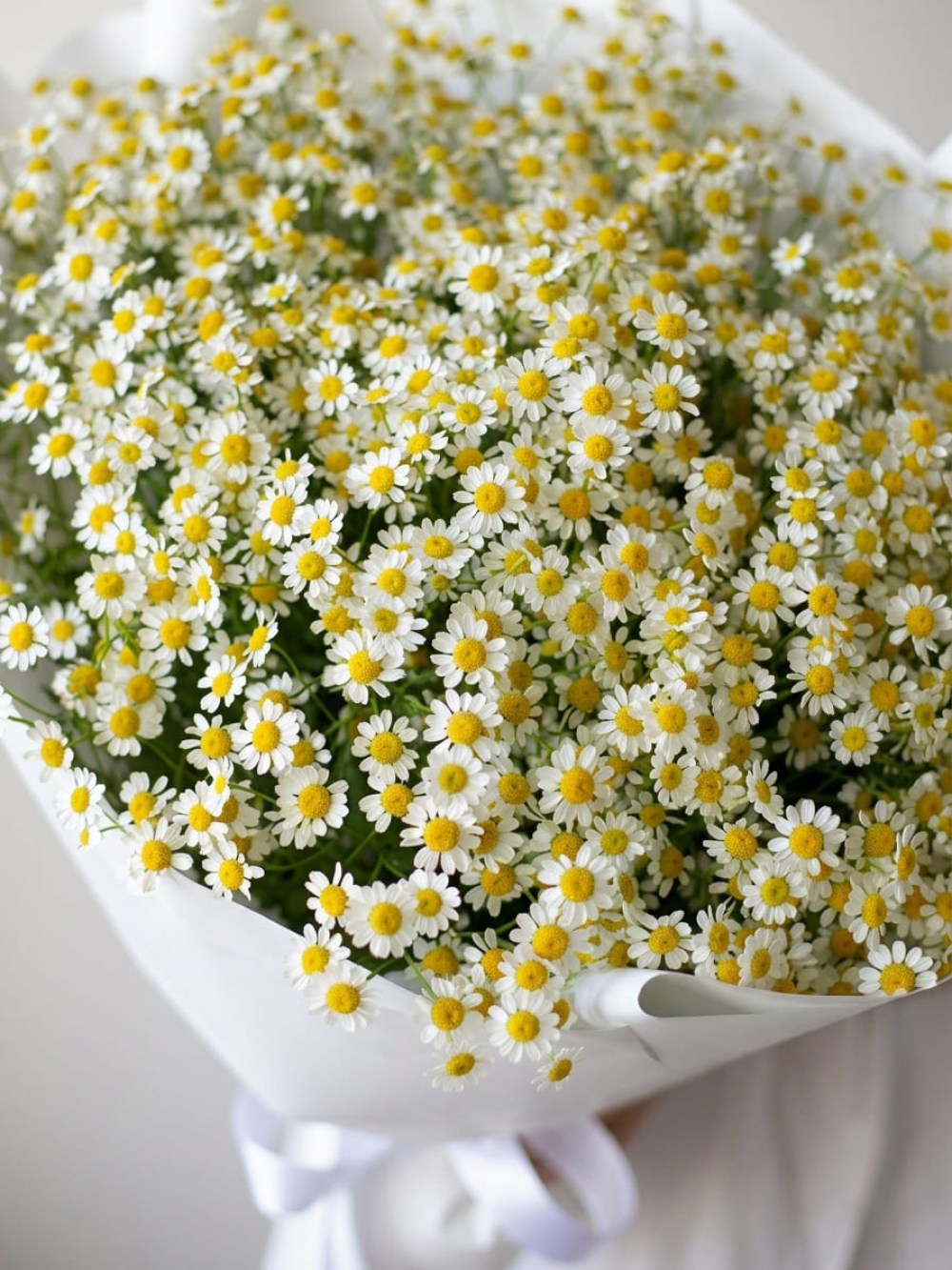 Buchet din 21 de ramuri de tanacetum în design alb