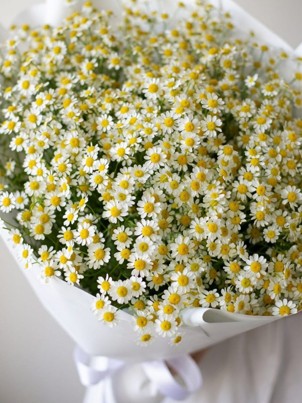 Buchet din 21 de ramuri de tanacetum în design alb